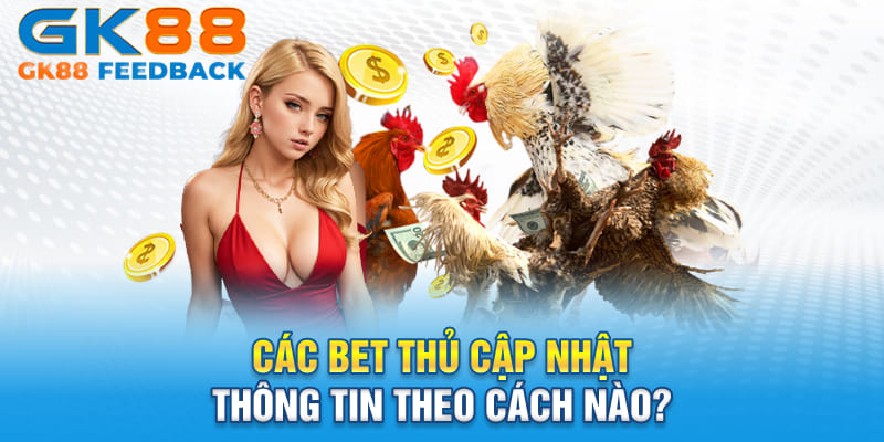 Các bet thủ cập nhật thông tin theo cách nào?