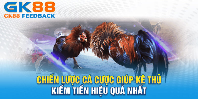 Chiến lược cá cược giúp kê thủ kiếm tiền hiệu quả nhất