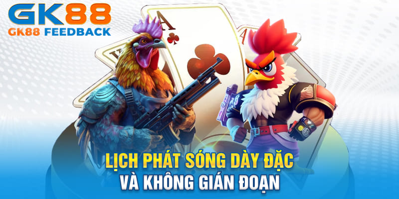 Lịch phát sóng dày đặc và không gián đoạn